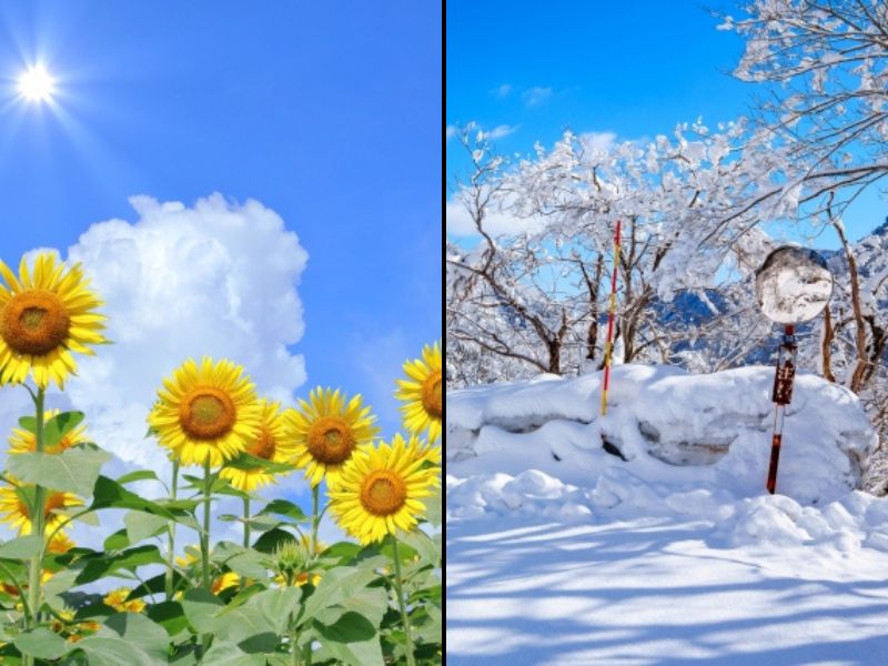 季節で変わる!? 外壁塗装の夏・冬の注意点と対策